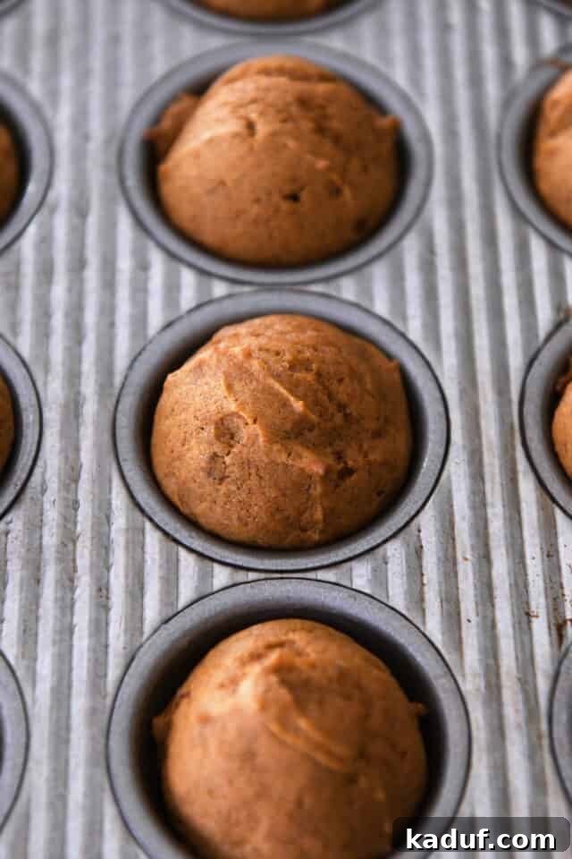 Pumpkin Donut Muffin Bites 7 A tray of freshly baked mini pumpkin muffins still in the tin, displaying their golden-brown and puffy tops.
