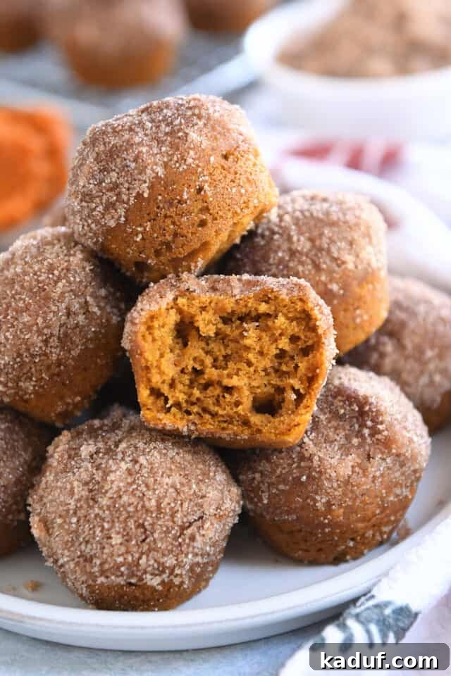 Pumpkin Donut Muffin Bites 9 A perfectly halved mini pumpkin donut muffin, revealing its soft, fluffy interior, nestled within a stack of other coated muffins on a white plate.