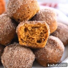 Pumpkin Donut Muffin Bites 10 Delicious Mini Pumpkin Donut Muffins with a sprinkle of cinnamon sugar