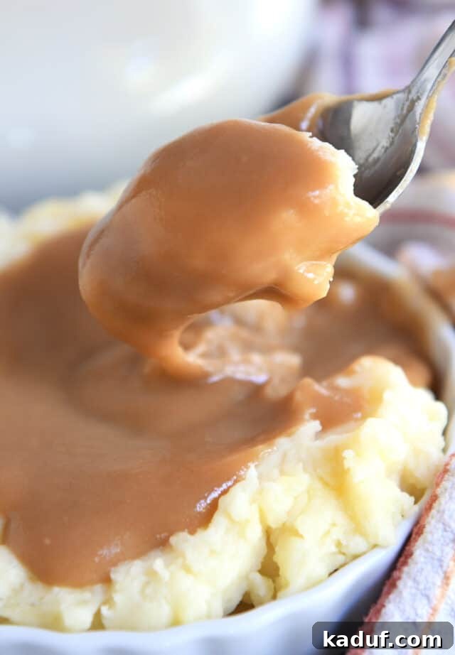 A spoon delicately lifting mashed potatoes and gravy, showcasing the perfect consistency.
