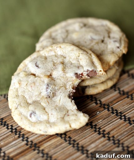 Toasted Hazelnut Chocolate Chip Cookies 2 A stack of golden-brown chocolate chip hazelnut cookies, with one in front showcasing a perfect bite taken out, revealing the melty chocolate and toasted hazelnut pieces within.