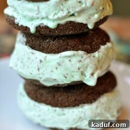 Frozen Mint Chocolate Chip Delights 4 A delicious homemade chocolate-mint chip ice cream sandwich, highlighting the dark chocolate cookie and mint ice cream.