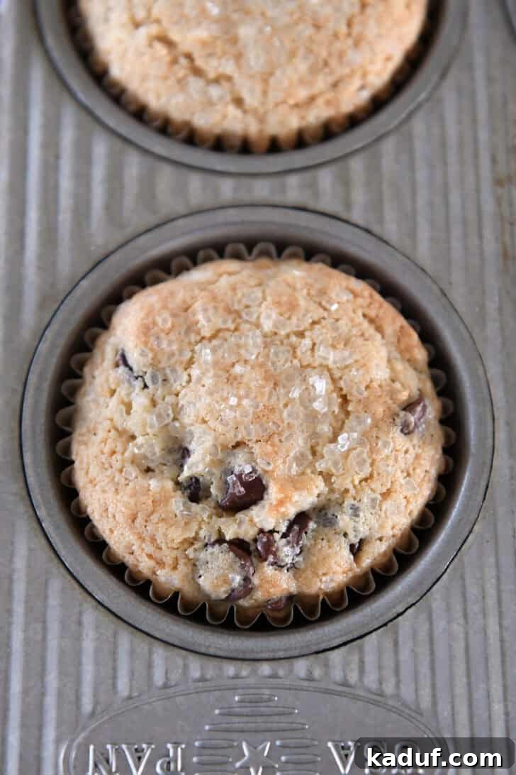 A freshly baked brown butter chocolate chip muffin, still in its tin, showcasing its golden-brown top.