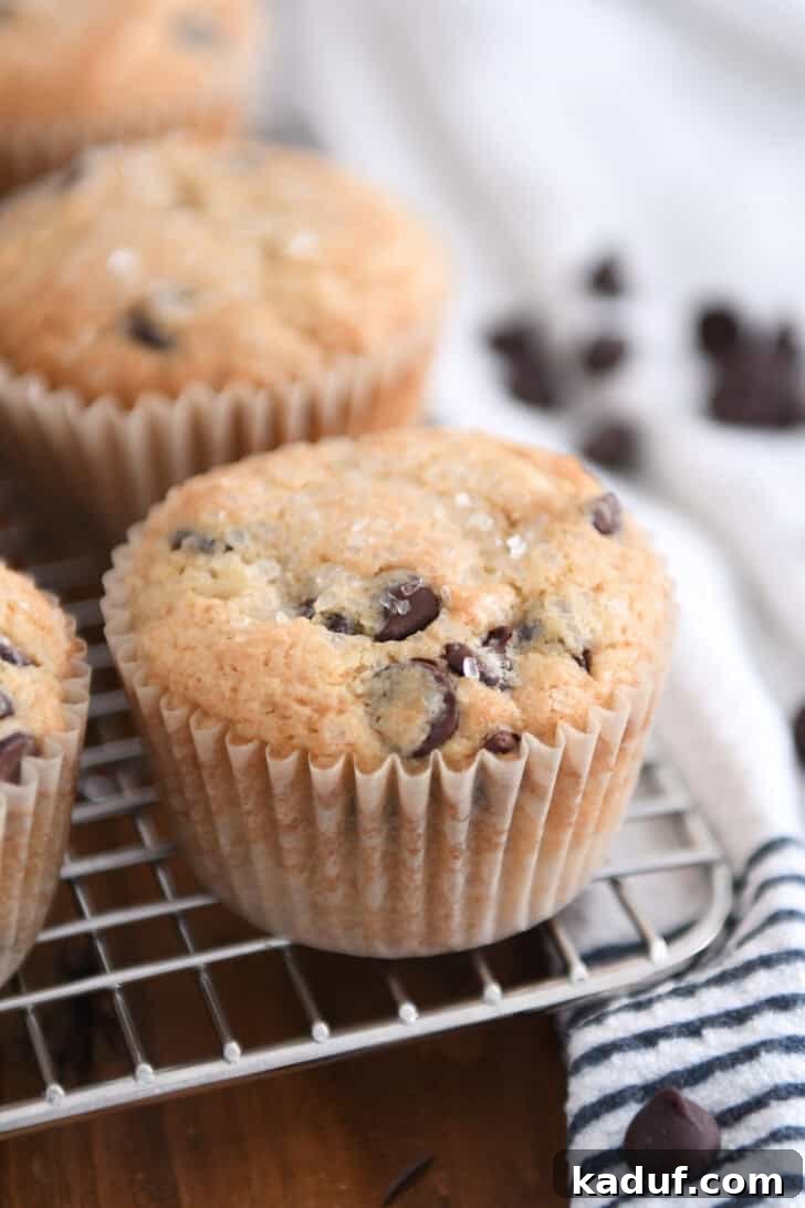 A perfectly golden brown butter chocolate chip muffin resting on a wire rack, cooling gracefully.