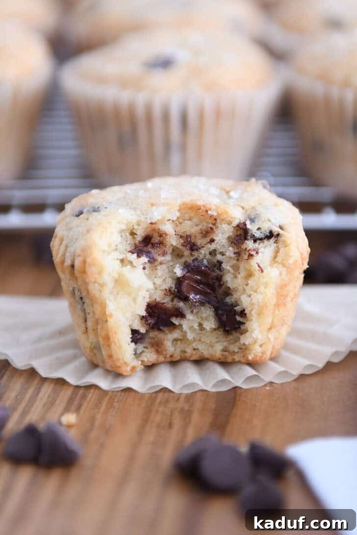 A delicious brown butter chocolate chip muffin with a bite taken out, revealing melty chocolate chips and a tender crumb.