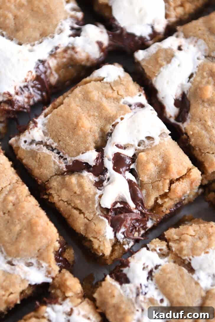 Irresistible S'mores Bars 2 A top-down view of golden-brown s'mores cookie bars, featuring visible cracks revealing gooey marshmallow and melted chocolate throughout each square. This inviting image highlights the rich texture and delicious layers of the dessert.
