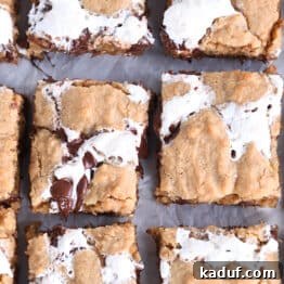 Top-down view of golden-brown s'mores cookie bars with fissures of gooey marshmallow and melted chocolate throughout each bar, showcasing their inviting texture.