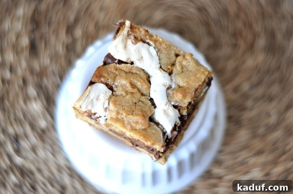 Irresistible S'mores Bars 12 A single s'mores cookie bar artfully placed on a white ramekin, showcasing its soft interior with visible ribbons of gooey marshmallow and rich fudge-like chocolate. This close-up highlights the bar's luxurious texture.