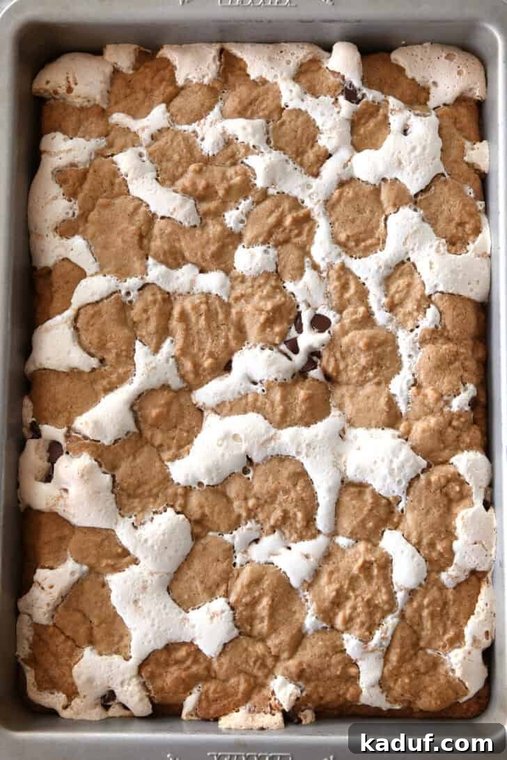 Irresistible S'mores Bars 8 Top-down view of a freshly baked slab of golden-brown s'mores cookie bars, still in the pan. Fissures of gooey marshmallow and melted chocolate chips are visible throughout the perfectly baked bars, showcasing their irresistible texture.