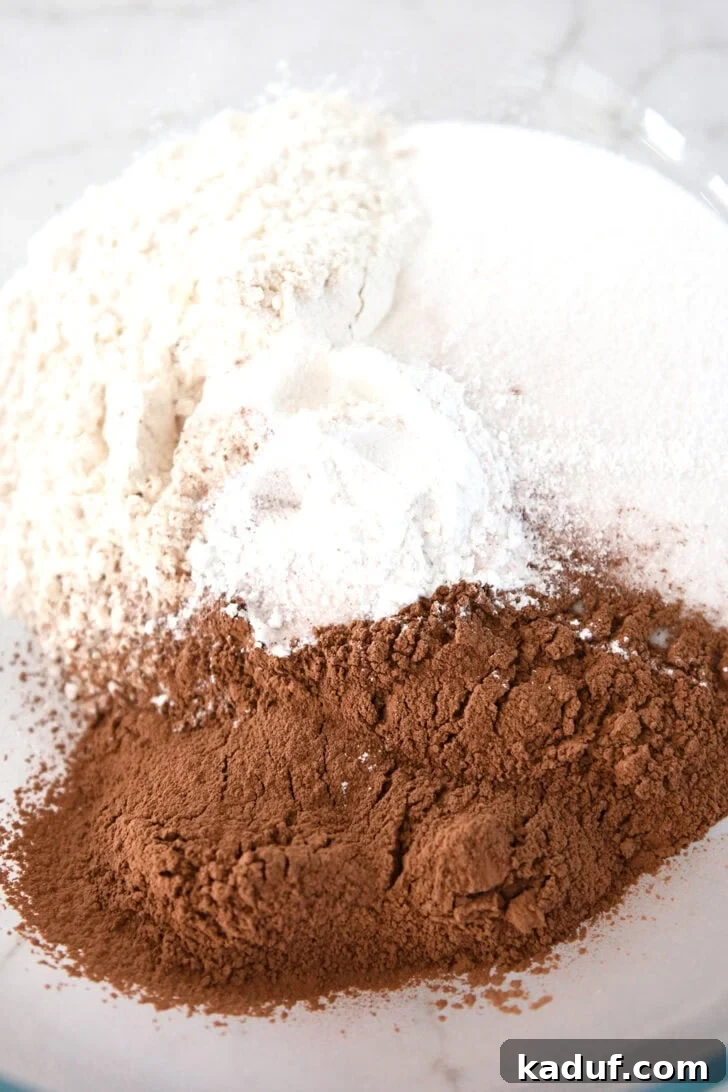 Cocoa powder, sugar, flour, and baking powder are combined in a glass bowl, showcasing the dry ingredients for the chocolate cake batter.