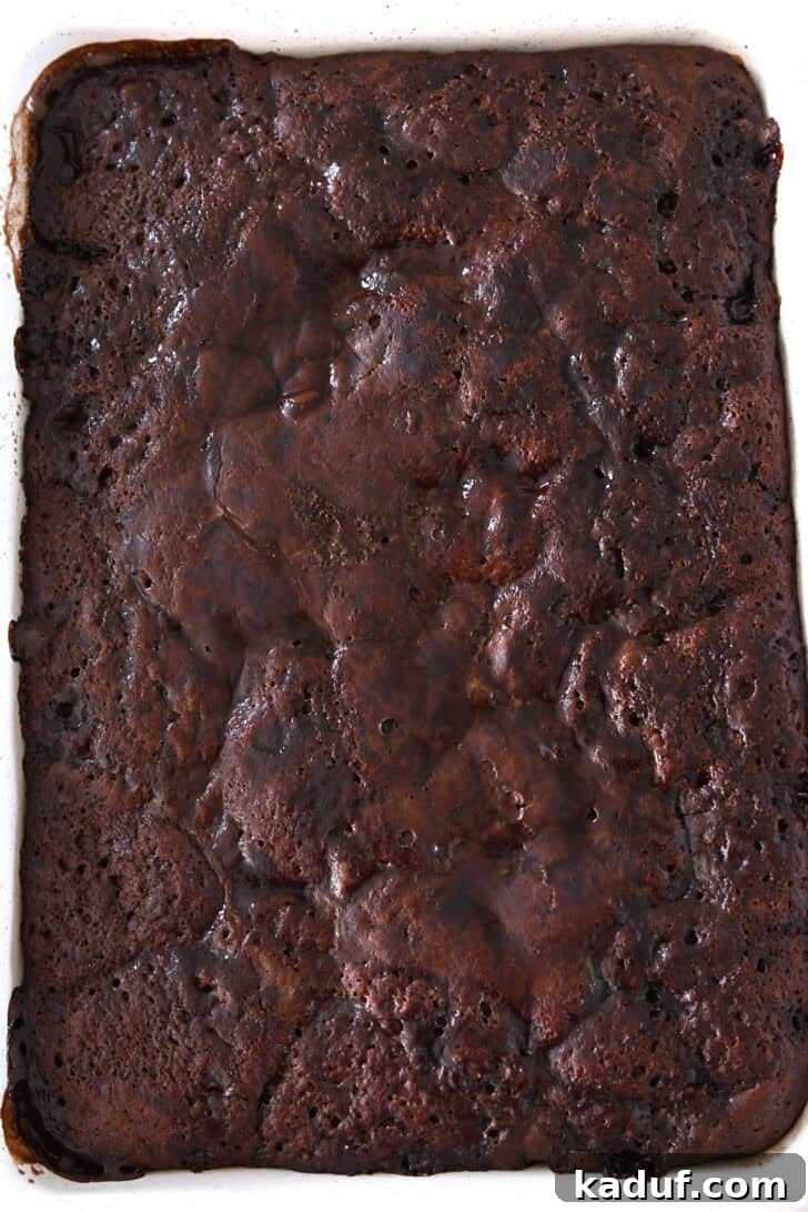 Freshly baked hot fudge pudding cake in a white 9x13-inch pan, with a visibly puffy and cracked top, indicating doneness.