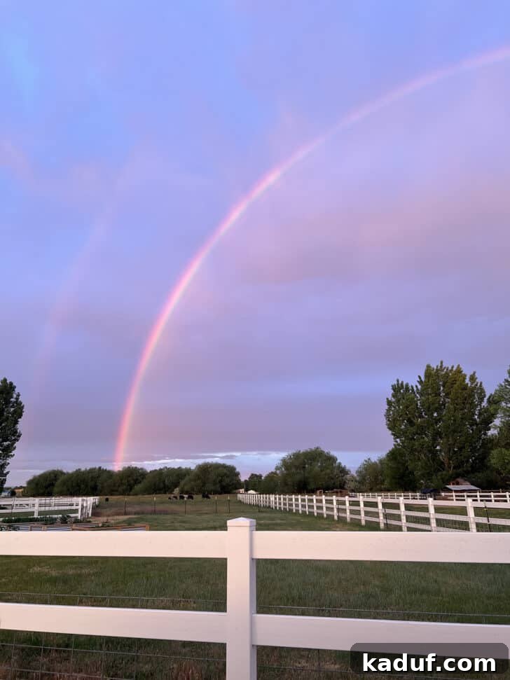 Friday Thoughts: A Brain Dump 14 A stunning rainbow arching across a serene sky over a lush green pasture, capturing a peaceful farm moment.