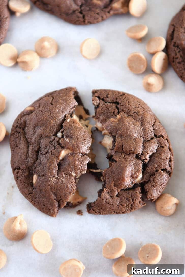 Decadent Chocolate Peanut Butter Chip Cookies 2 A perfectly baked chocolate cookie, artfully pulled apart to reveal gooey, melted peanut butter chips inside, showcasing its irresistible texture.