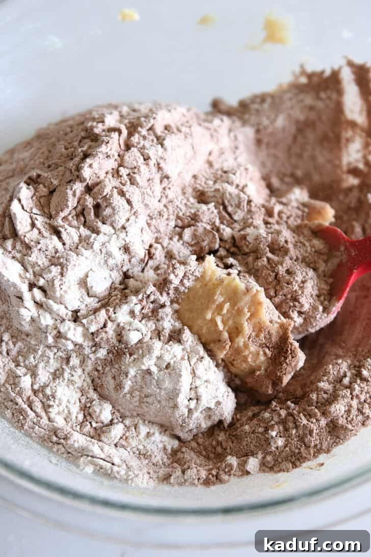 Decadent Chocolate Peanut Butter Chip Cookies 4 A glass bowl containing prepared cookie dough, with sifted all-purpose flour and rich cocoa powder waiting to be incorporated for smooth consistency.