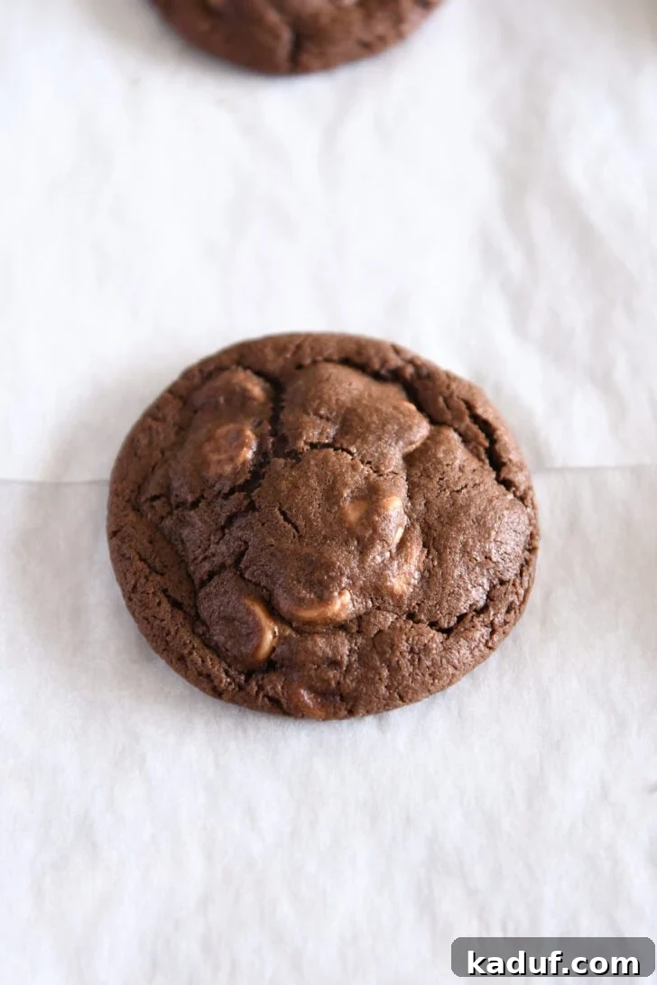 Decadent Chocolate Peanut Butter Chip Cookies 8 A freshly baked chocolate peanut butter chip cookie cooling on parchment paper, showcasing its perfect golden-brown edges and soft, crinkled top.