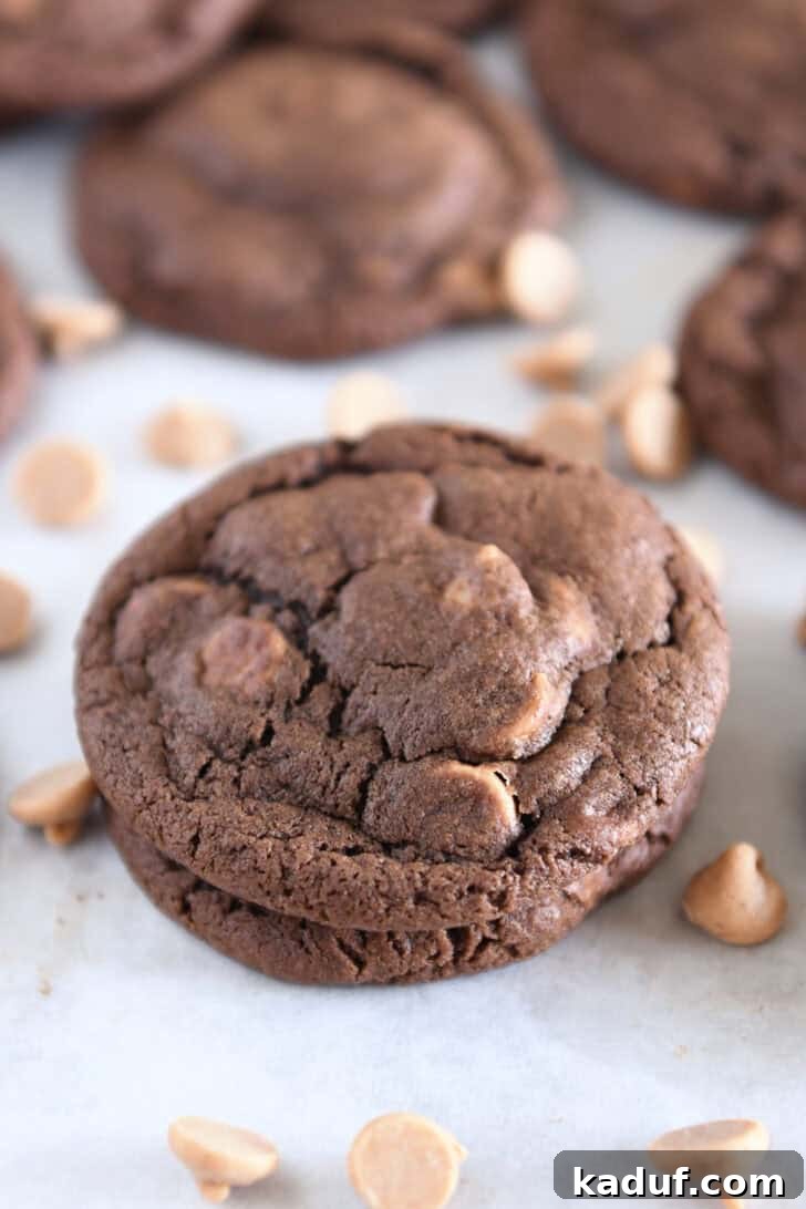 Decadent Chocolate Peanut Butter Chip Cookies 10 Two soft chocolate peanut butter chip cookies stacked perfectly, with loose peanut butter chips scattered appealingly around them on a clean surface.