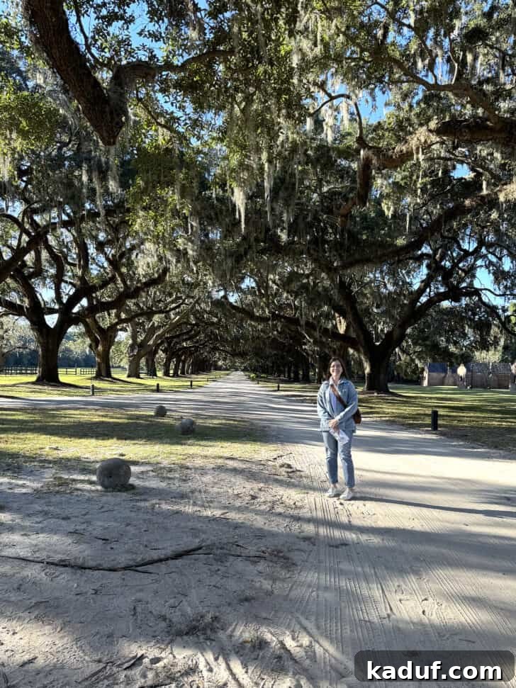 Friday's Frame of Mind 19 The picturesque Avenue of Oaks at Boone Hall Plantation