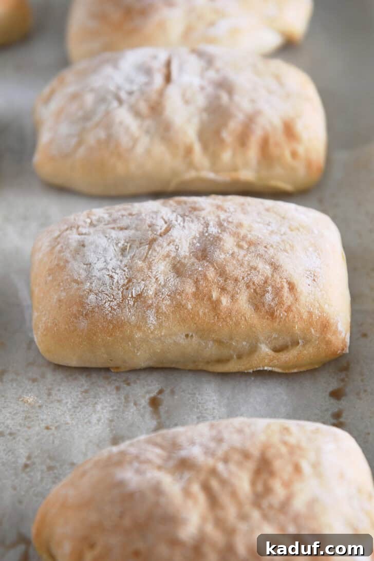 Fresh Ciabatta Rolls Made Today 12 Baked rectangle ciabatta roll on sheet pan.
