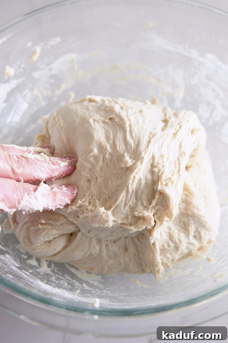 Fresh Ciabatta Rolls Made Today 8 Folding ciabatta dough over itself in glass bowl.