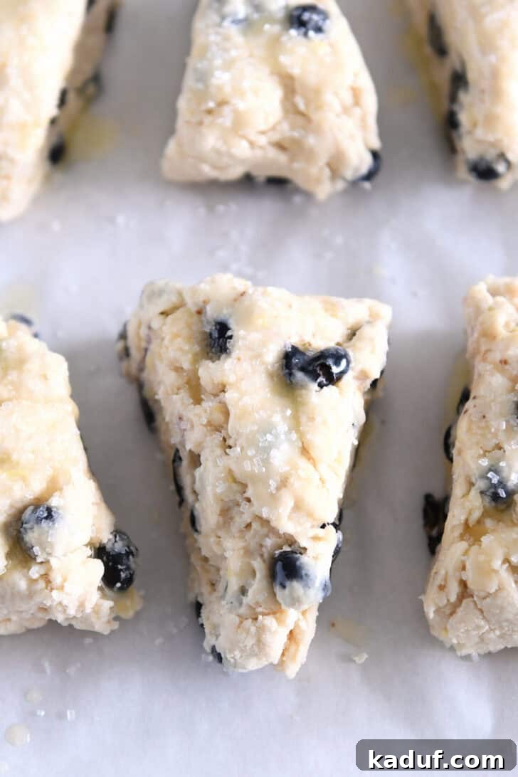 Irresistible Lemon Blueberry Scones 8 Unbaked lemon blueberry scones brushed with melted butter and sprinkled with coarse sugar, ready for the oven.