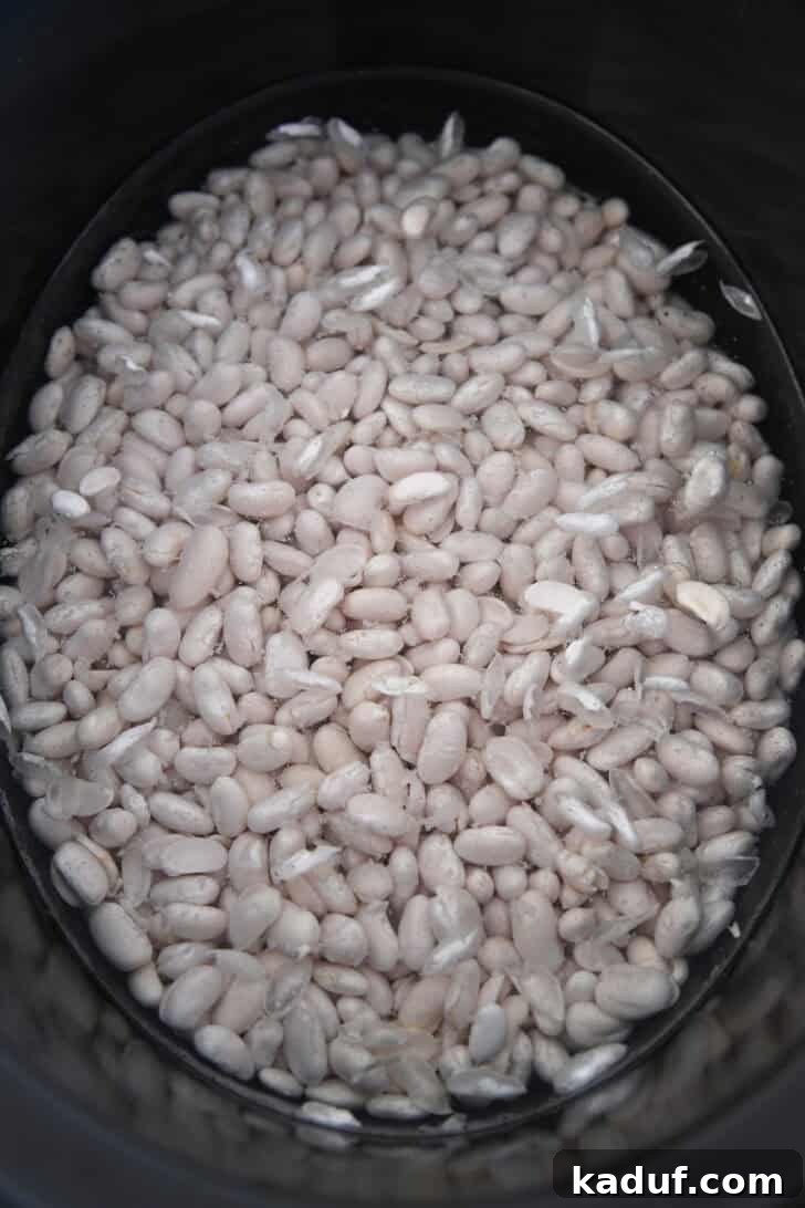 Hearty Slow Cooked Ham and Bean Soup 3 Dry white Great Northern beans soaking in water inside a black slow cooker, ready for the next step.