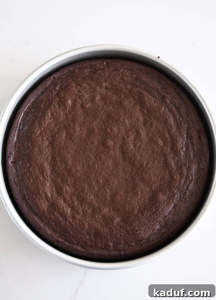 Velvety Chocolate Olive Oil Cake 11 Top down view of baked chocolate olive oil cake in 9-inch circle pan.