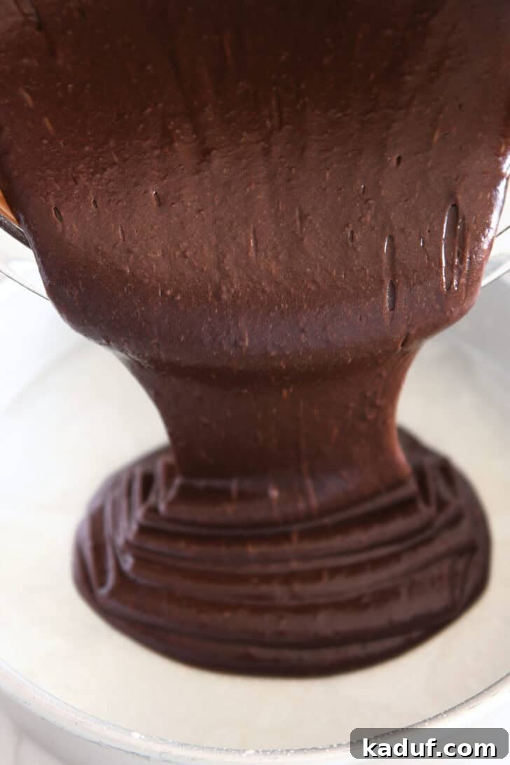 Velvety Chocolate Olive Oil Cake 10 Pouring chocolate cake batter in parchment lined cake pan.