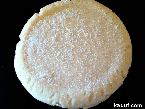 Sweet Crystals 3 A close-up top view of a single frosted sugar cookie, showing its smooth, creamy frosting and inviting texture on a plain white background.