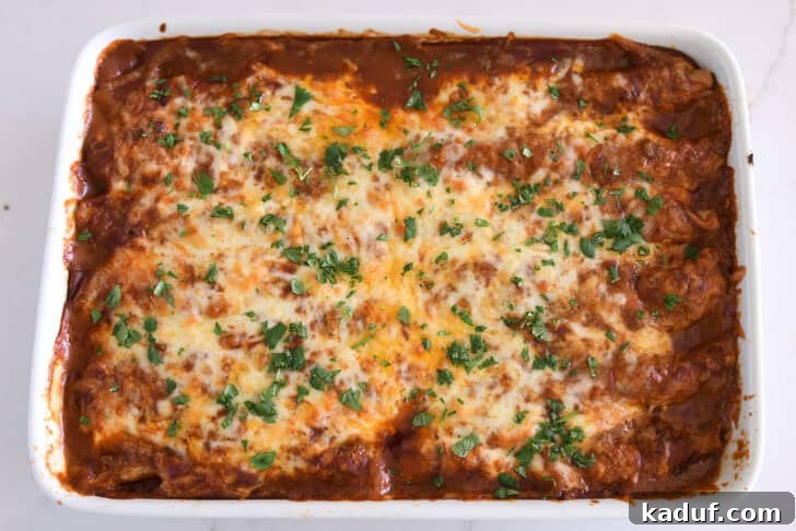 Savory Ground Beef Enchiladas 11 Top down view of baked pan of ground beef enchiladas with red sauce, melted cheese and cilantro.