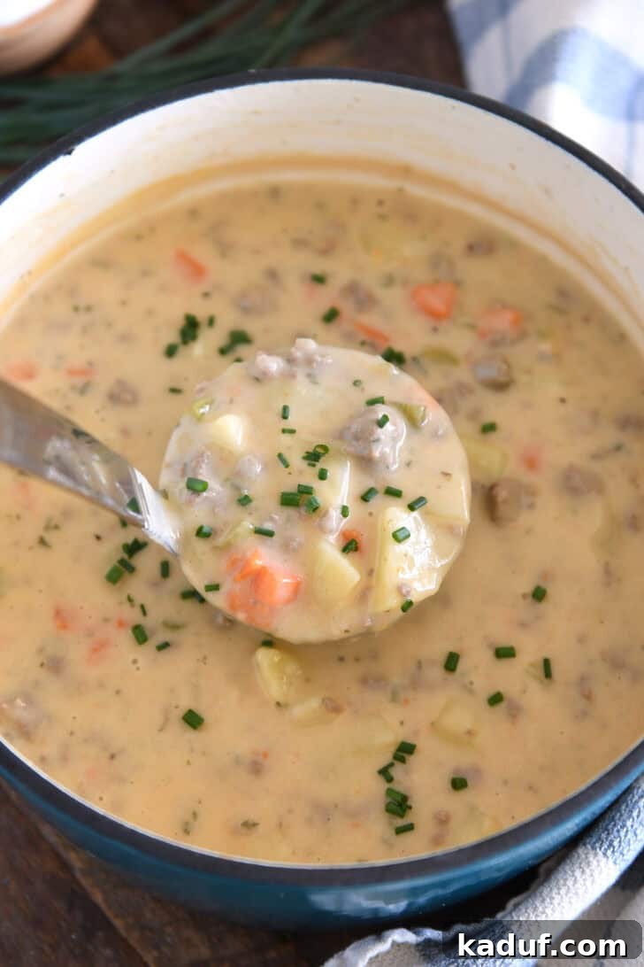 Lighter Cheeseburger Soup 5 A ladle holds a generous scoop of creamy, cheesy soup, revealing tender pieces of potato, savory hamburger, and sweet carrots, all generously sprinkled with fresh chives for garnish.