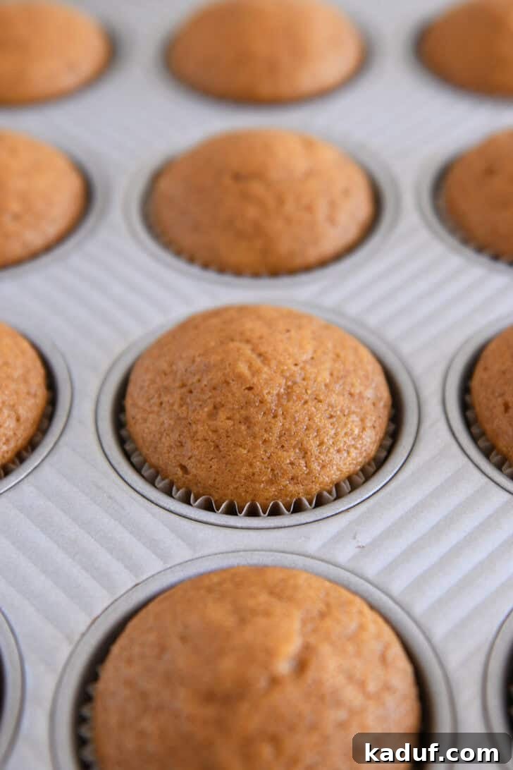 Baked domed pumpkin cupcake in liners in metal cupcake tin.