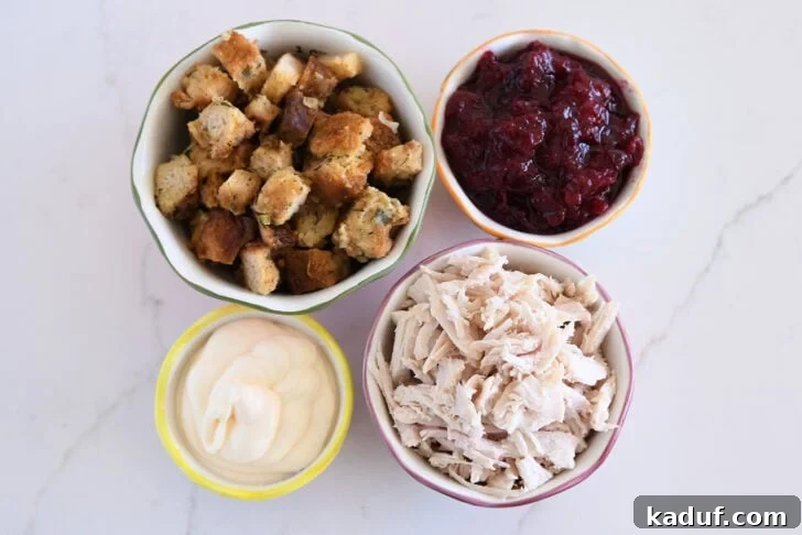 The Ultimate Turkey Leftover Sandwich Experience 3 Bowls of Stuffing, Cranberry Sauce, Mayonnaise, and Shredded Turkey