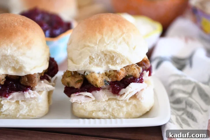 The Ultimate Turkey Leftover Sandwich Experience 8 Homemade Roll Sandwiched with Shredded Turkey, Cranberry Sauce, Stuffing, and Mayo