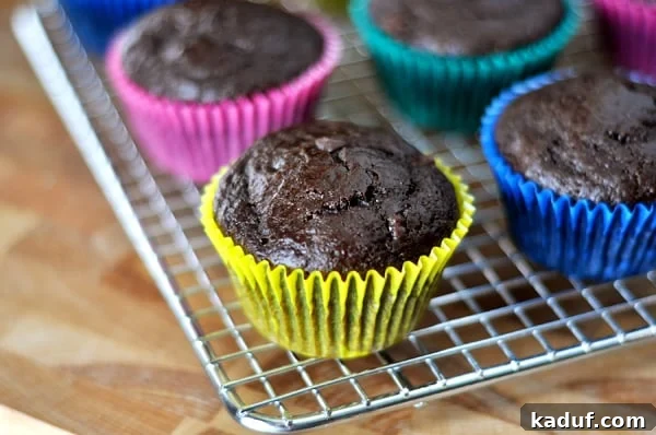 Decadent Double Chocolate Muffins 2 Freshly baked double chocolate muffins cooling on a wire rack, still in their colorful paper liners. The muffins have a rich, dark brown color and a slightly domed top, with visible chocolate chips peeking through.