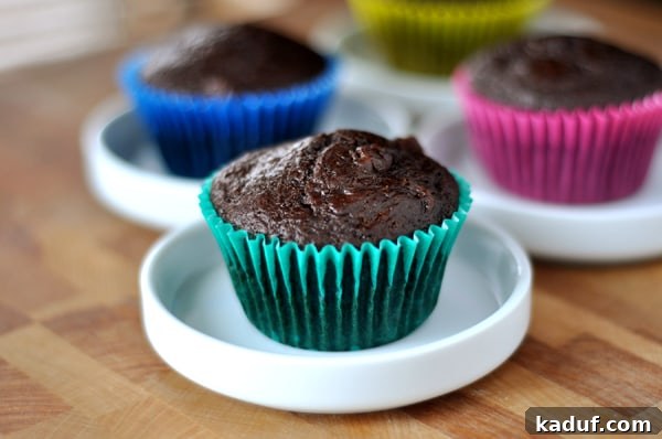 Decadent Double Chocolate Muffins 3 A trio of delicious double chocolate muffins, each nestled in its colorful paper liner, arranged on small white plates. The rich texture and chocolate chips are clearly visible, inviting a taste.