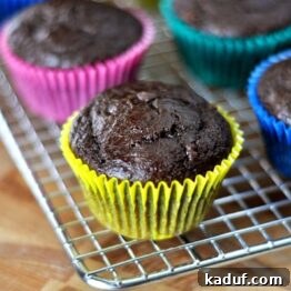 Delicious double chocolate muffins with a rich, dark color and visible chocolate chips, promising a moist and flavorful experience.