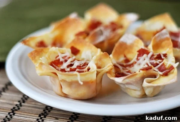 Ultimate Pizza Skillet Dip 3 Pizza appetizers cooked in wonton wrappers on a white plate.