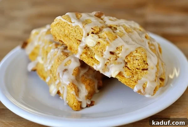 Spiced Pumpkin Scones with Ginger Drizzle 3 Two pumpkin scones, beautifully drizzled with white ginger glaze, are presented on a clean white plate.