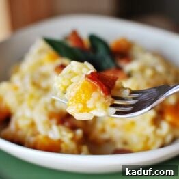Butternut Squash Risotto