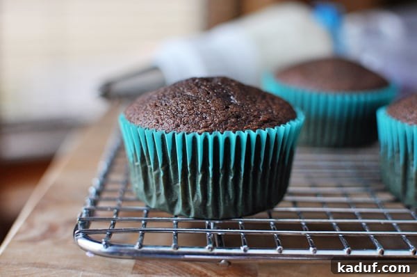 Perfected Chocolate Cupcakes 2 Freshly baked homemade chocolate cupcakes cooling in vibrant blue liners on a wire rack, showcasing their perfectly domed tops and inviting texture.