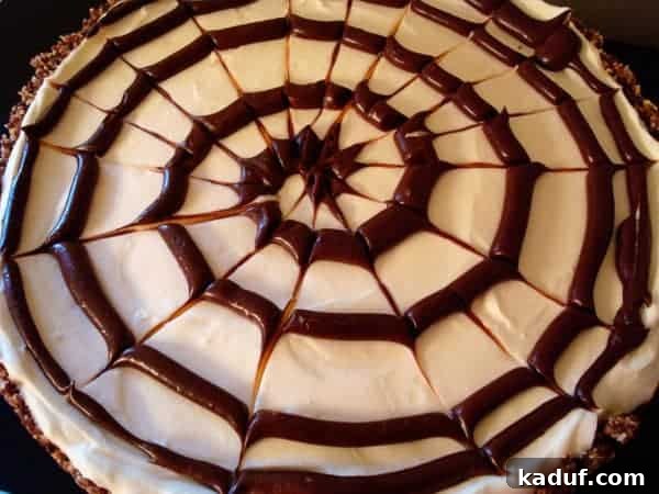 Gothic Web Cheesecake 2 Top view of a cheesecake with a spiral chocolate spiderweb on top, ready for Halloween.
