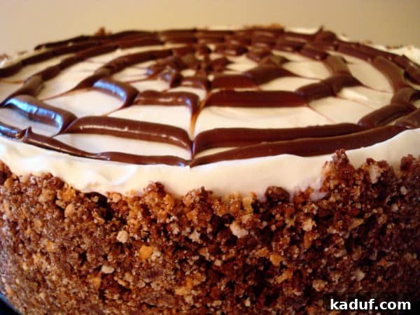 Gothic Web Cheesecake 3 Side view of cheesecake with a chocolate spiderweb on top, showcasing its decadent layers.