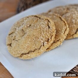 A perfectly baked Brown Sugar Crackle Cookie ready to be enjoyed.