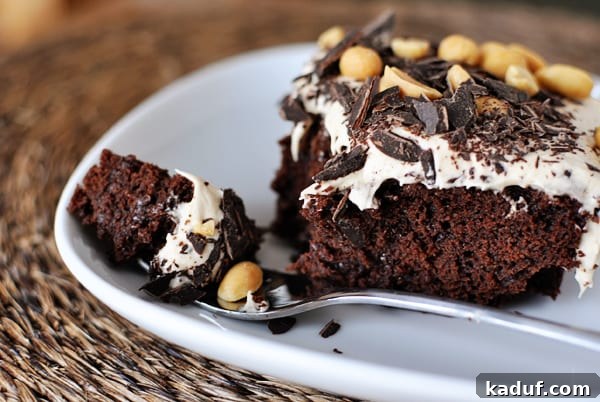 Chocolate Peanut Butter Dream Cake 2 A slice of rich chocolate cake generously topped with whipped peanut butter buttercream frosting, sprinkled with chocolate pieces and crunchy peanuts, presented on a white plate with a fork poised to take a bite.