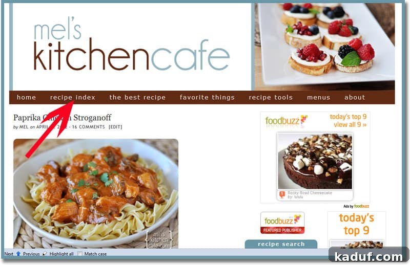 Recipe Index Screenshot of the Recipe Index page, highlighting various food categories.