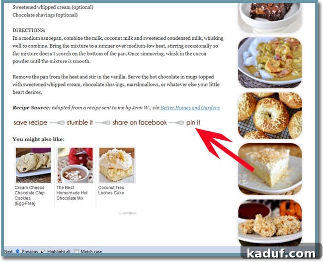 Pin It Screenshot showing social media sharing buttons, including 'Pin It,' 'Stumble It,' and 'Share on Facebook' options.