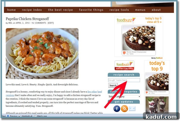 Search Screenshot of the search bar located in the website's right sidebar.