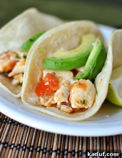 Seared Cilantro Lime Fish Tacos 3 Corn tortilla fish tacos, generously topped with diced tomatoes and creamy sliced avocados, highlighting fresh ingredients.