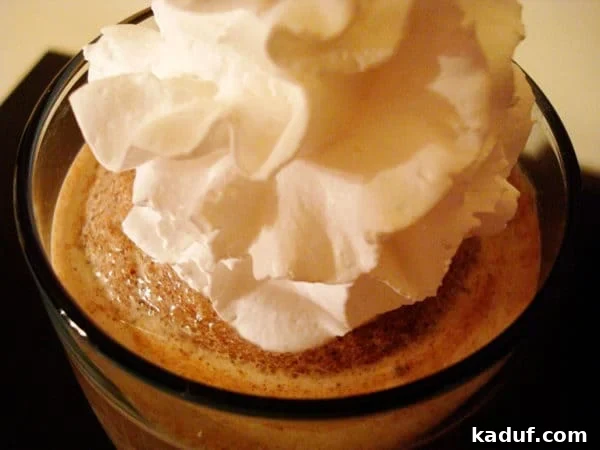 Chilled Chocolate Dream 3 Top view of a glass of frozen hot chocolate generously topped with whipped cream and chocolate shavings.