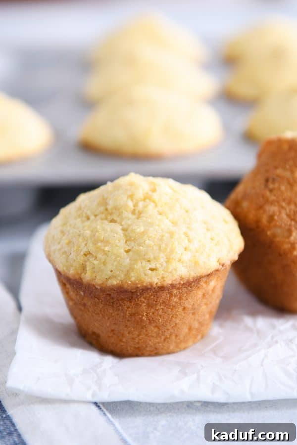 Fluffy Golden Cornbread Muffins 7 Baked light and fluffy cornbread muffins.